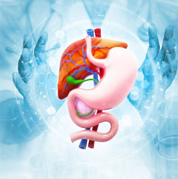 gastro service in dehradun