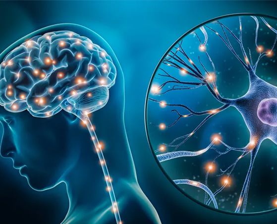 neuroscience service in dehradun